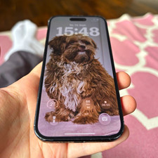Apple iPhone 15 Schwarz iOS Smartphone mit Dual-Kamera, Stil Slate